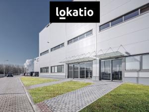 Pronájem skladu, České Budějovice, Okružní, 4100 m2