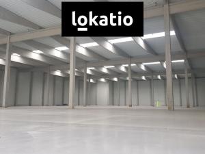 Pronájem skladu, České Budějovice, Okružní, 4100 m2