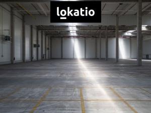 Pronájem skladu, Aš, 18682 m2