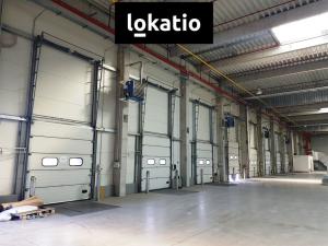 Pronájem výrobních prostor, Brno, 5271 m2