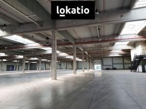 Pronájem výrobních prostor, Brno, 5271 m2