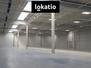 Pronájem skladu, Jirkov, 10000 m2