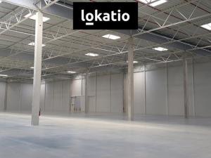 Pronájem skladu, Jirkov, 10000 m2