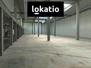 Pronájem skladu, Hradec Králové, 600 m2