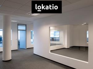 Pronájem skladu, Hradec Králové, 1000 m2